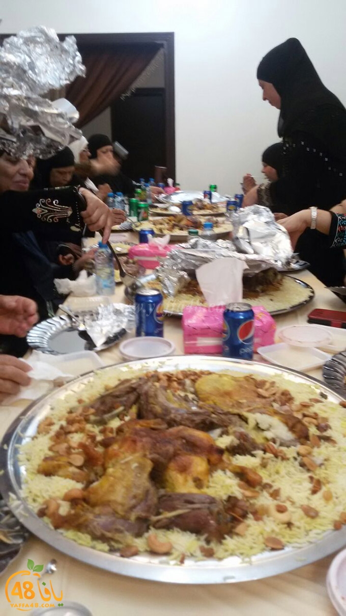 zibda yaffa jadda (11).jpg